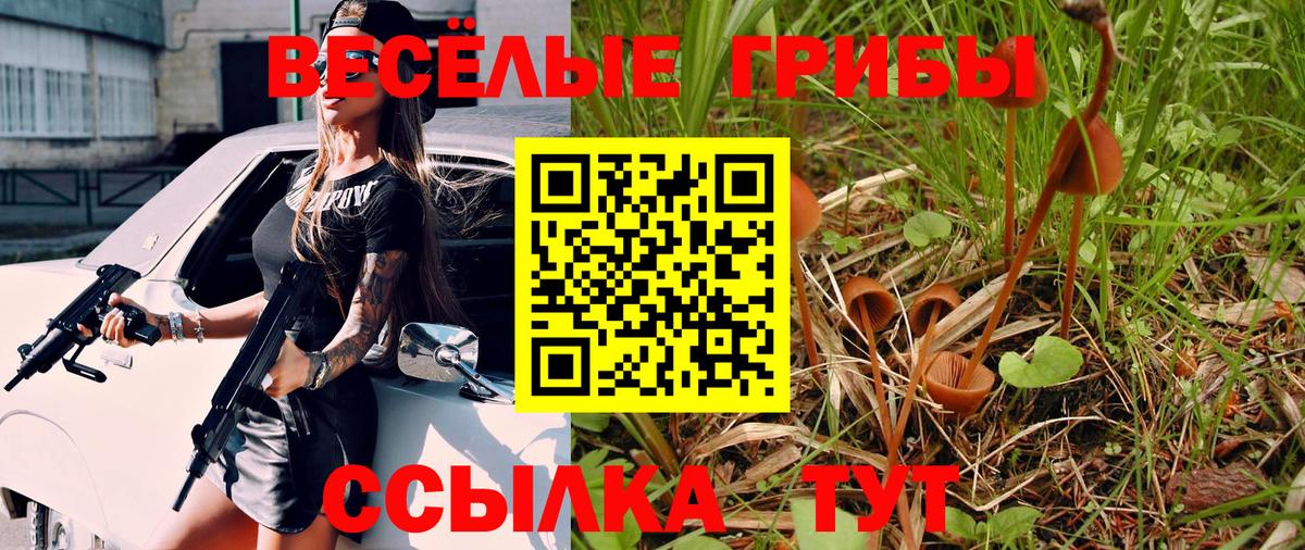 Псилоцибиновые грибы GOLDEN TEACHER  Галлюциногенные грибы мицелий  Вход с VPN  Саянск 